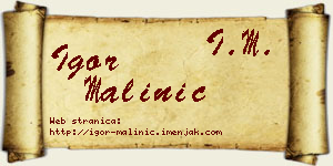 Igor Malinić vizit kartica